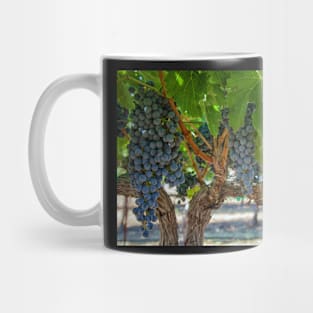 Grapes 1 Mug